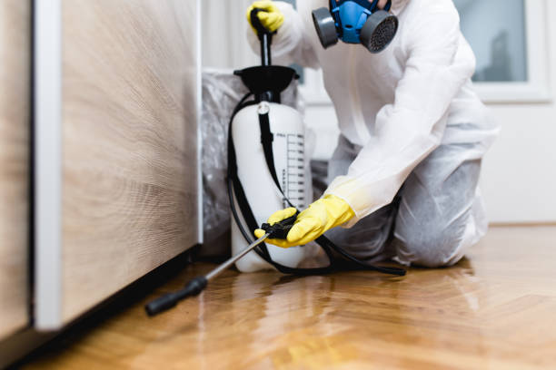 Best Pest Control Near Me  in Bad Axe, MI