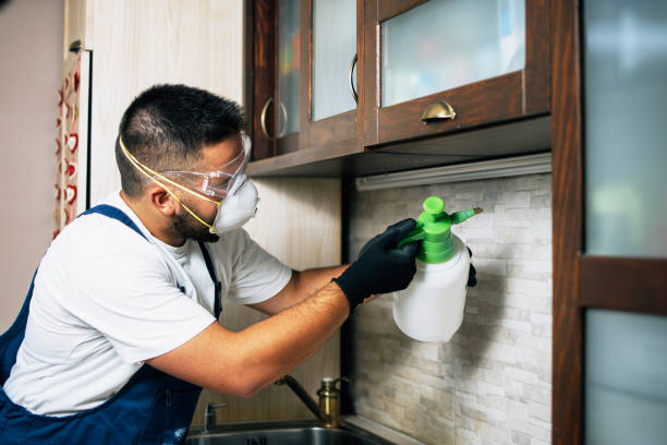 Best Bed Bug Extermination  in Bad Axe, MI