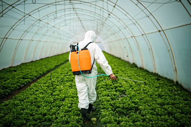 Best Commercial Pest Control Services  in Bad Axe, MI