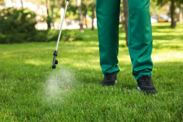 Best Insect Control  in Bad Axe, MI