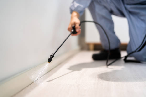 Best Wasp Removal Services  in Bad Axe, MI