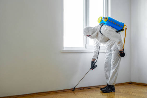 Best Cockroach Control Services  in Bad Axe, MI