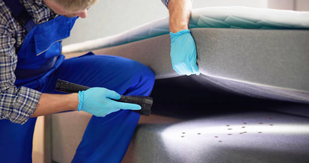 Best Termite Control Services  in Bad Axe, MI