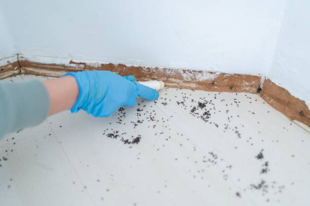 Best Exterminator Services  in Bad Axe, MI